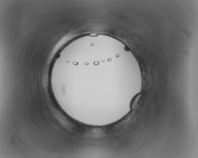 X0000113890056200910221425