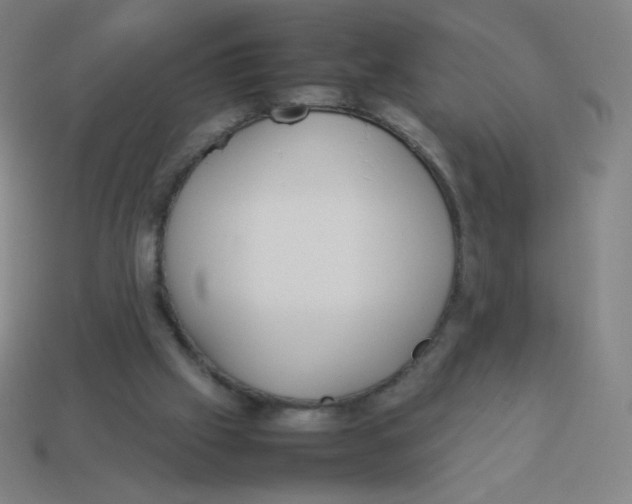 X0000113890057200910221425
