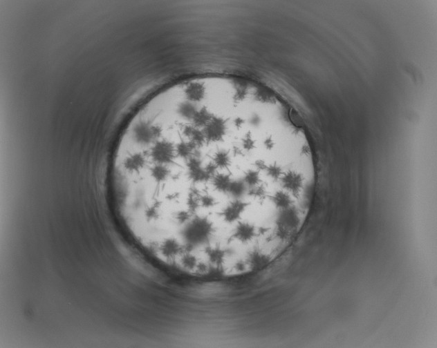 X0000113890058200910221425