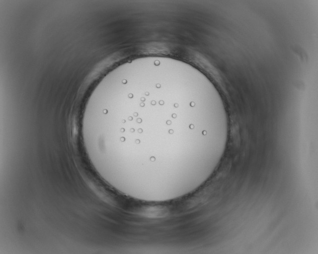 X0000113890059200910221425