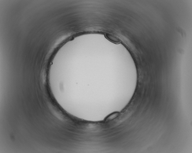 X0000113890060200910221425