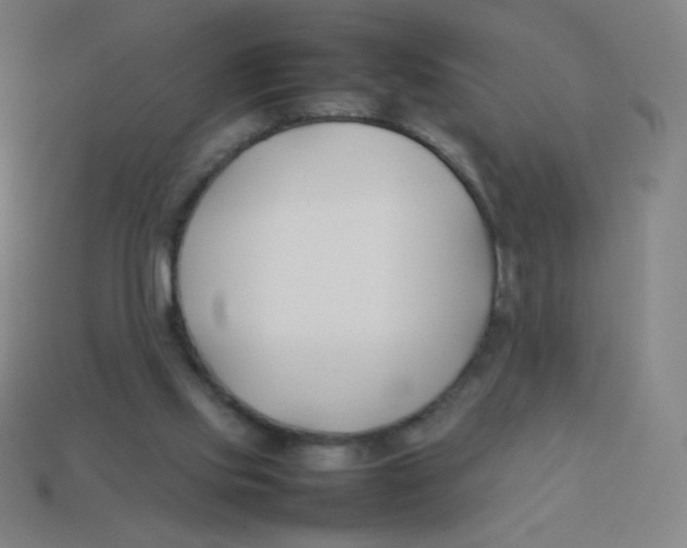 X0000113890061200910221425