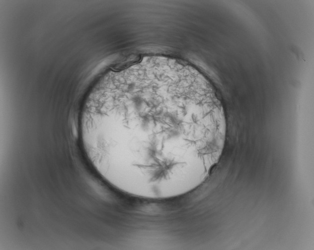 X0000113890062200910221425