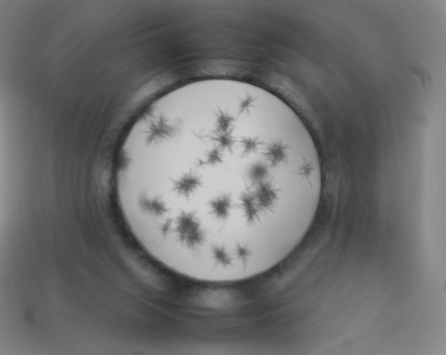 X0000113890063200910221425