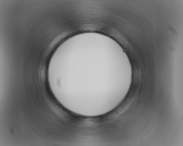 X0000113890064200910221425