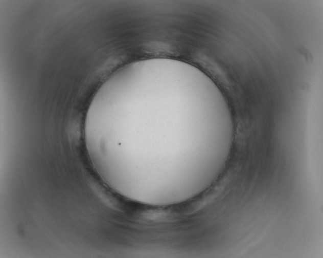 X0000113890065200910221425