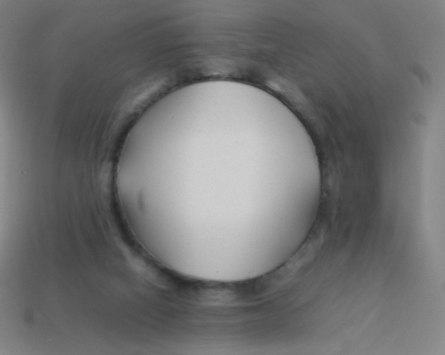 X0000113890066200910221425
