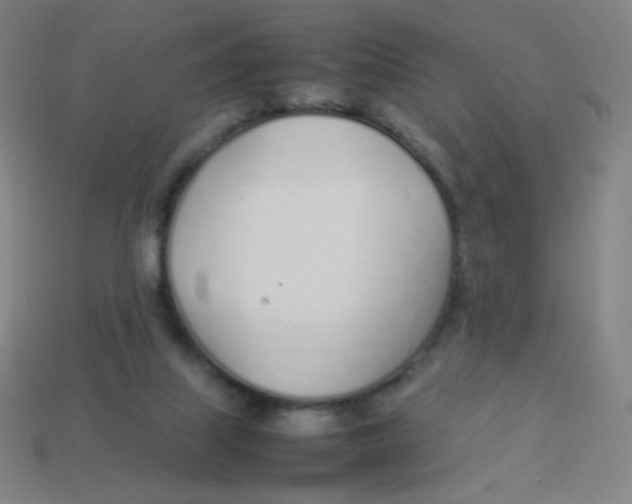 X0000113890067200910221425