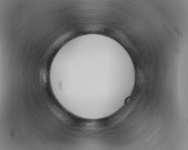 X0000113890068200910221425