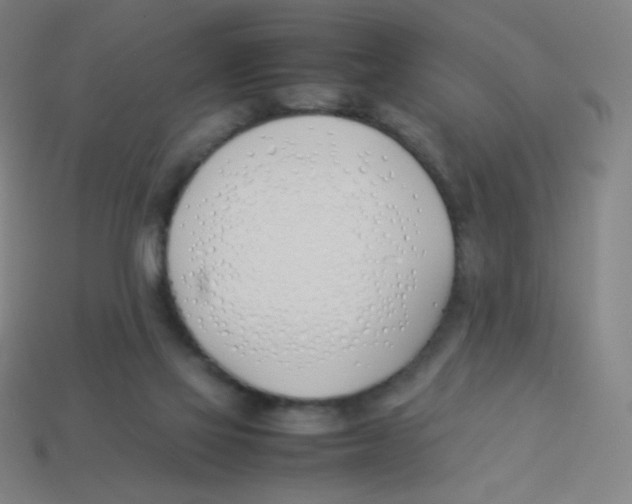 X0000113890069200910221425