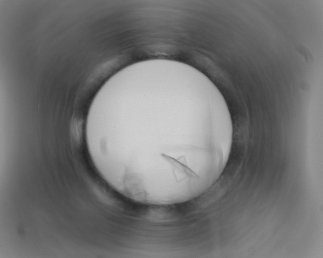 X0000113890070200910221425