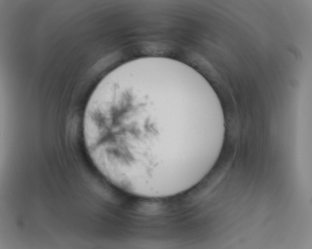 X0000113890071200910221425