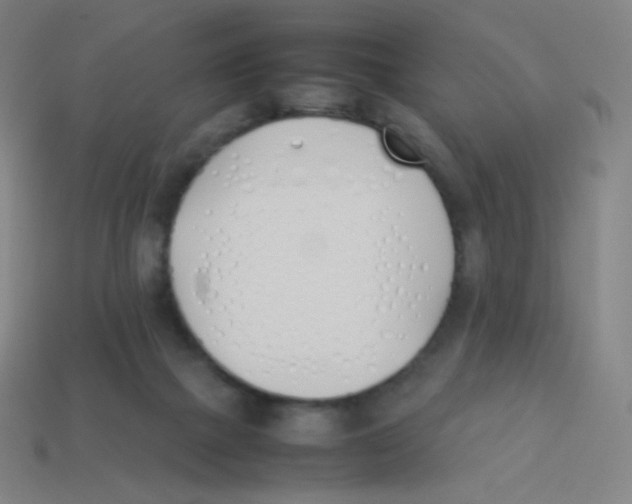X0000113890073200910221425