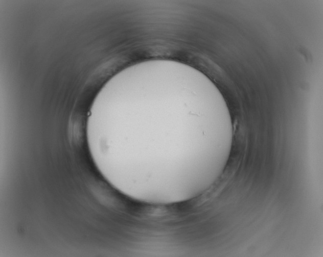 X0000113890074200910221425