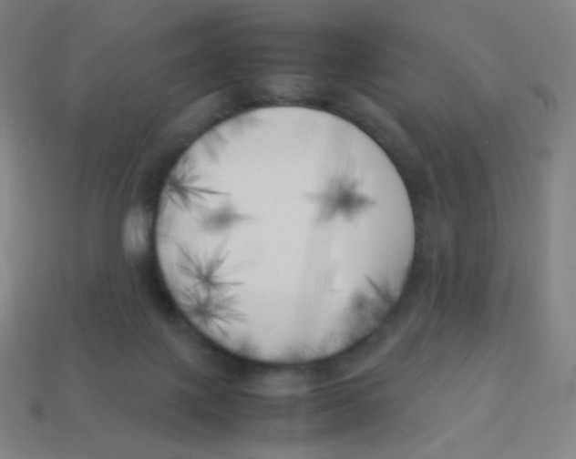 X0000113890075200910221426