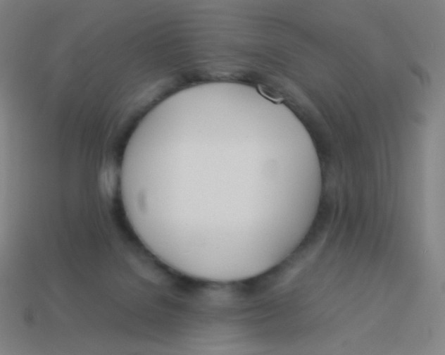 X0000113890076200910221426