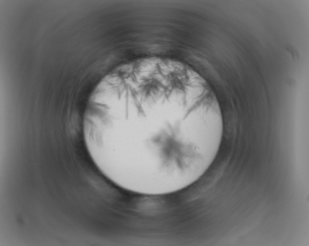 X0000113890077200910221426