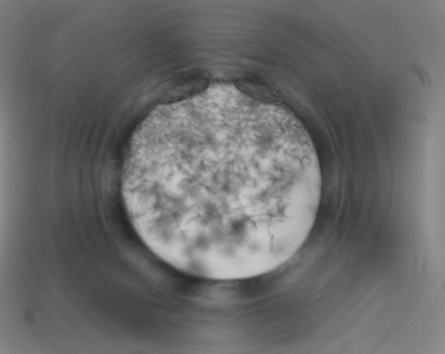 X0000113890078200910221426