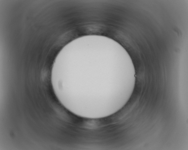 X0000113890079200910221426