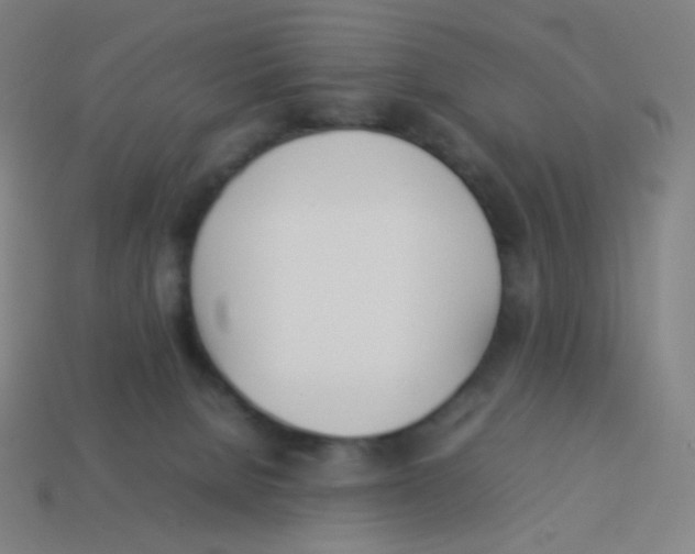 X0000113890080200910221426