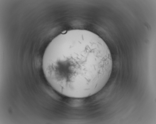 X0000113890081200910221426