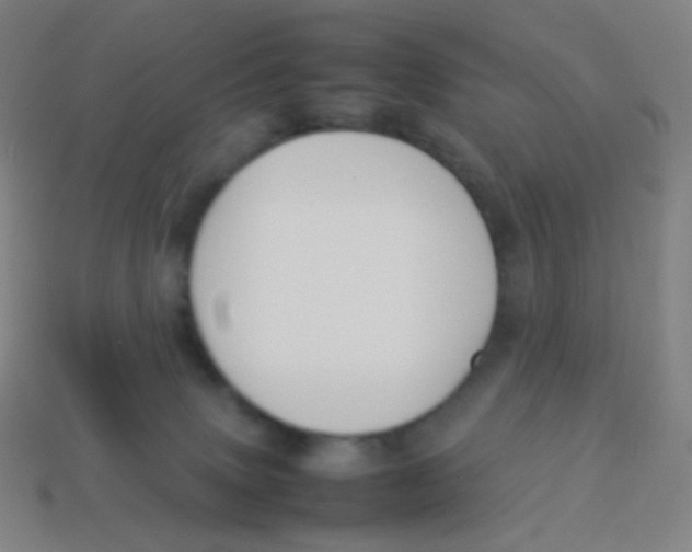 X0000113890083200910221426