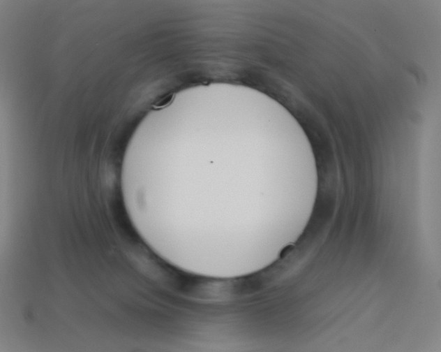 X0000113890084200910221426