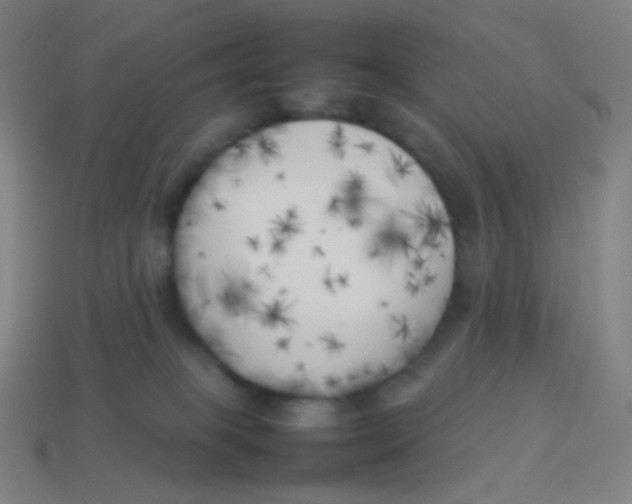 X0000113890085200910221426