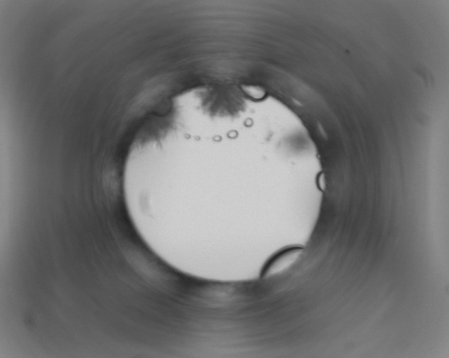 X0000113890086200910221426