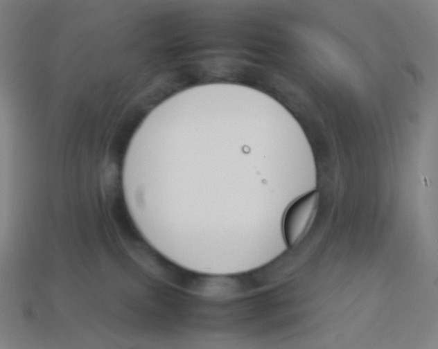 X0000113890087200910221426