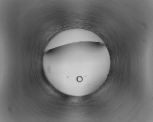 X0000113890088200910221426