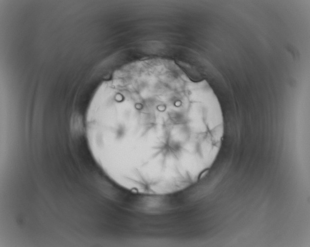 X0000113890089200910221426