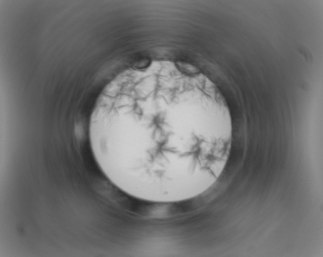 X0000113890090200910221426