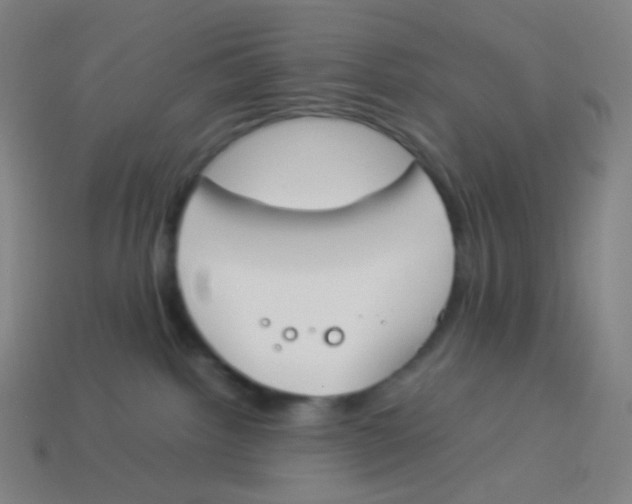 X0000113890092200910221426