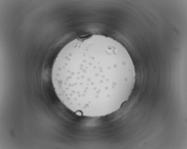 X0000113890093200910221426