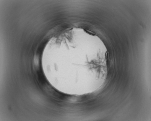 X0000113890094200910221426
