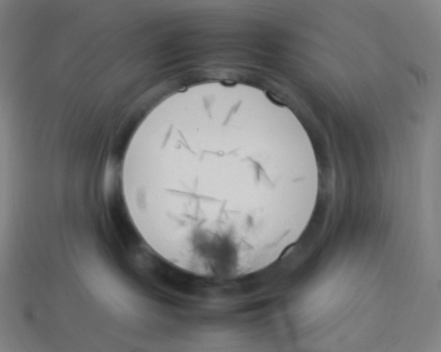 X0000113890095200910221426