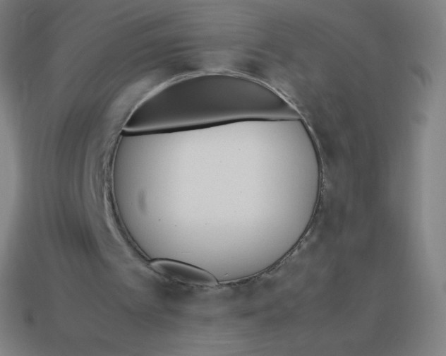 X0000113890097200910221425