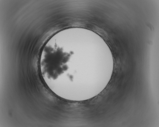 X0000113890098200910221425