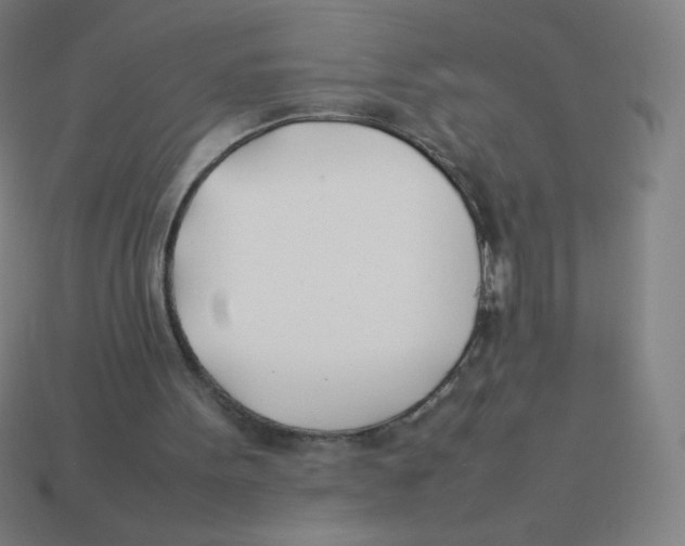 X0000113890099200910221425