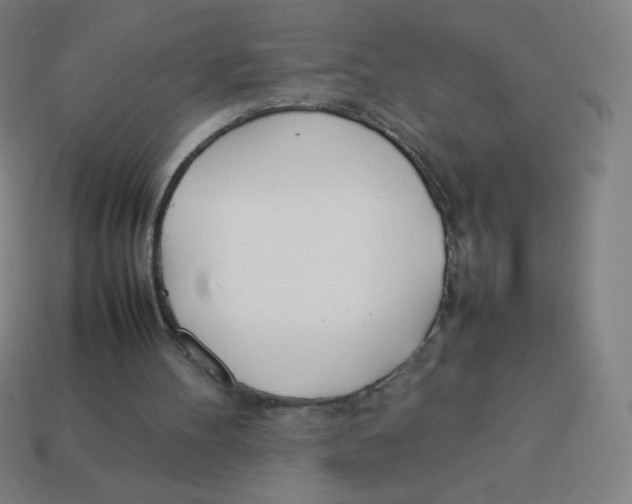 X0000113890100200910221425