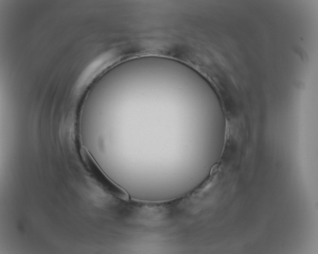 X0000113890101200910221425