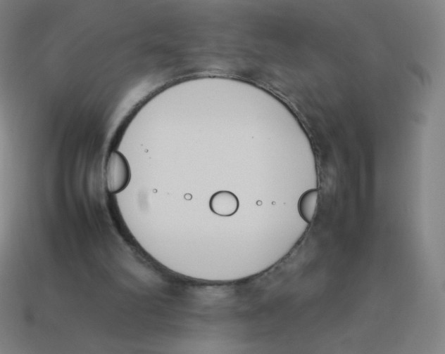 X0000113890102200910221425