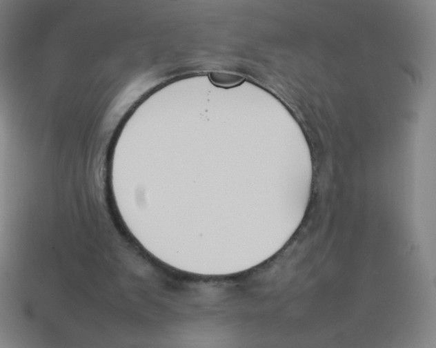 X0000113890103200910221425