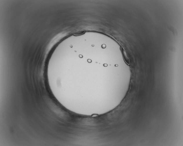 X0000113890104200910221425