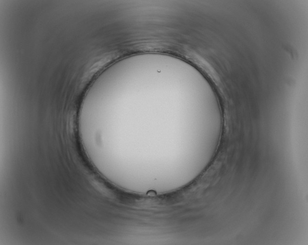 X0000113890105200910221425