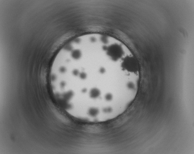 X0000113890106200910221425