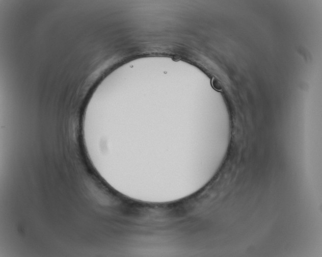 X0000113890107200910221425