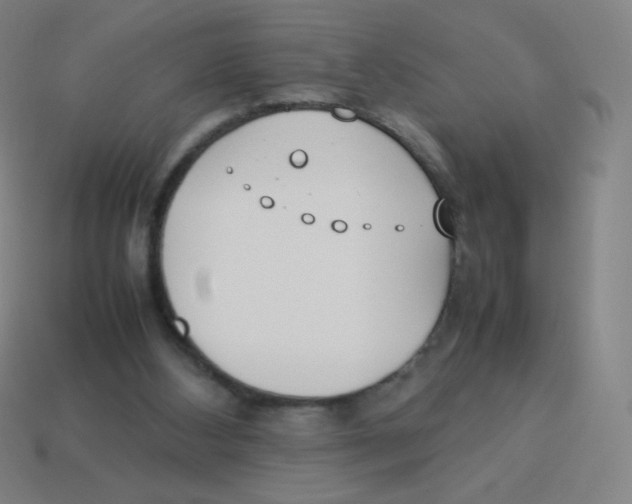 X0000113890108200910221425