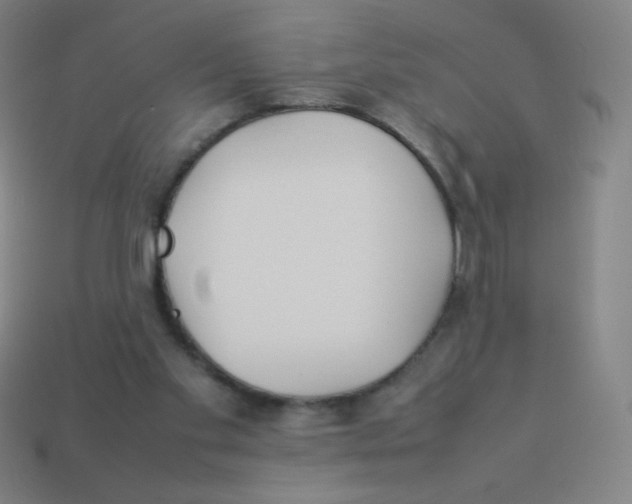 X0000113890109200910221425